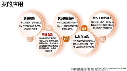 肽在體重管理中的實踐與探討——第一屆體重管理學術會議精彩回顧